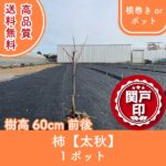 kakitaishu60-1p