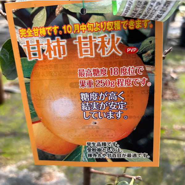 amagakikanshu60-1p