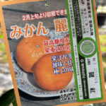 mikanreiko60-1p