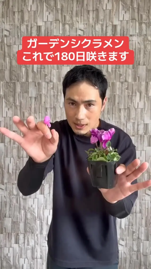 【ひいらぎ】 レディースフラノ調スニーカー(低反発インソール)【22.5～25.0cm