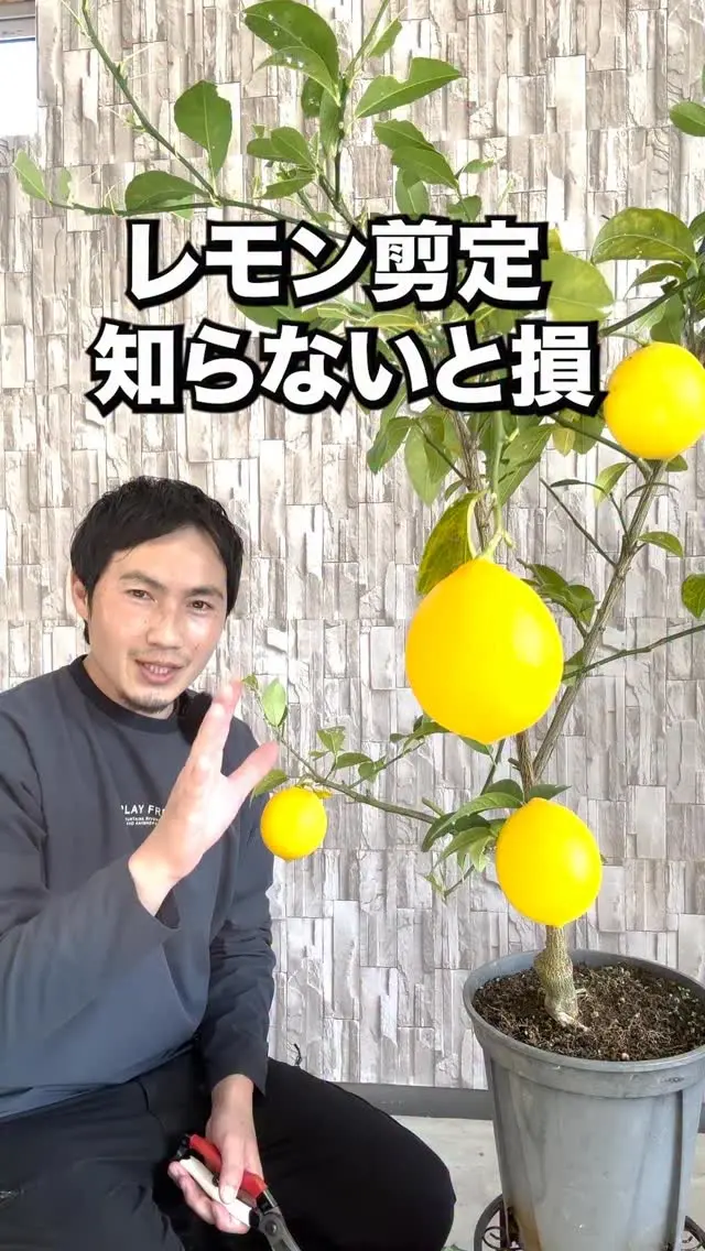 肥料 | 関戸園芸