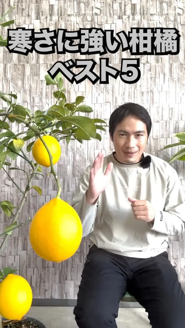 Peach-on　ブルーパシフィック 25本 Peach-on ブルーパシフィック 25本 Peach Fuzztival — Bluemont Vineyard