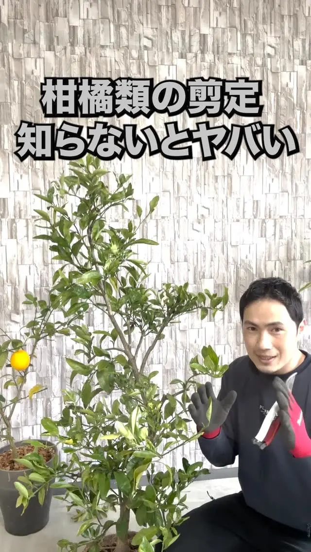 【ハナミズキ様⭐︎専用】 ハナミズキ様 専用‼️ ハナミズキ様⭐︎専用】 kina＊様制作専用ページ