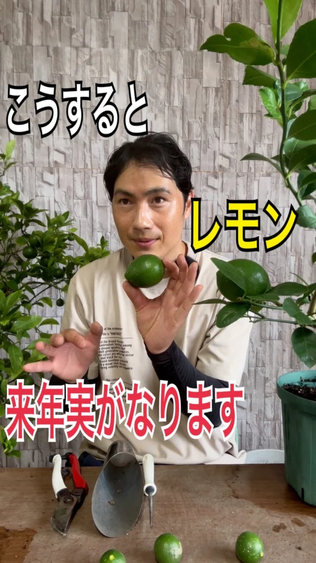 商品 | 関戸園芸